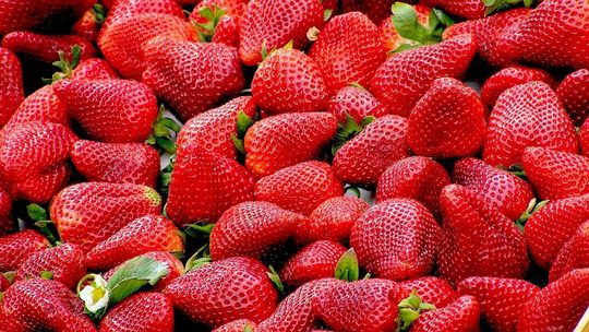 Truskawki z salmonellą. Masz je w domu? Nie jedz