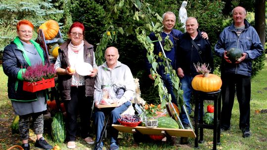 Trwa albertyński kiermasz. Okazja, by pomóc schronisku