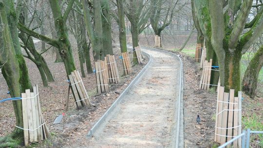 Trwa przebudowa Parku Ludowego w Lublinie. Zima sprzyja prowadzeniu robót [zdjęcia]