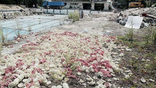 Trwa rozbiórka byłych obiektów Avii w Świdniku. Powstanie kompleks sportowy