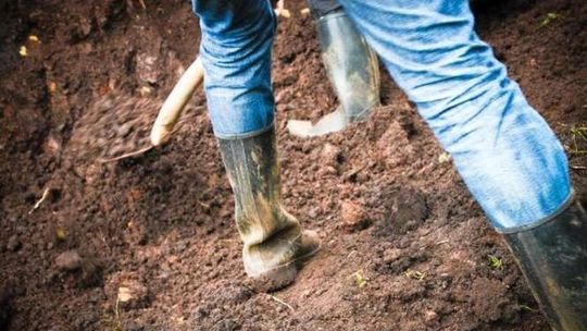 Trwa sezon pracy dorywczej. Ile można zarobić?