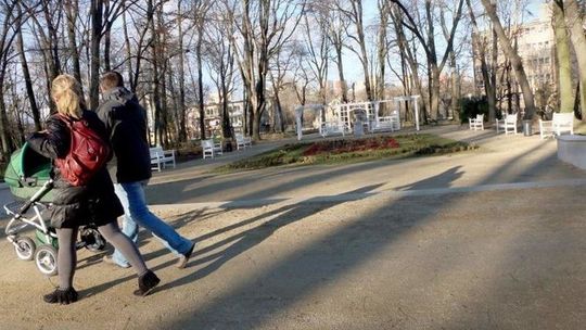 Trzeba zbierać papierki i... przyglądać się pawim kupom. Potrzebny opiekun Ogrodu Saskiego