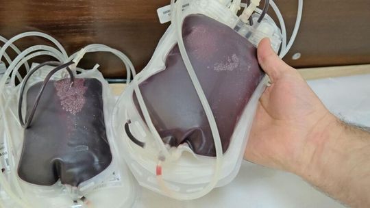 Trzech grup krwi praktycznie nie ma. RCKiK zaprasza na akcje oddawania krwi