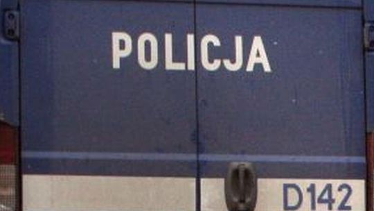 Trzej mężczyźni ukradli tonę żółtego sera