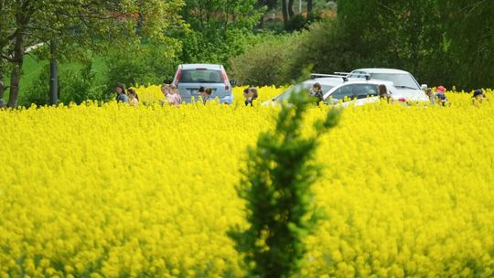 Trzęsienie ziemi na lubelskiej wsi. Jakie są najważniejsze zmiany?