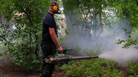 Trzy dni walki z komarami w Lublinie