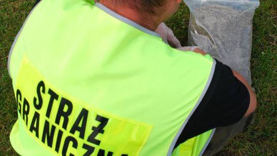 Trzy kilogramy marihuany w busie jadącym do Lublina z Holandii