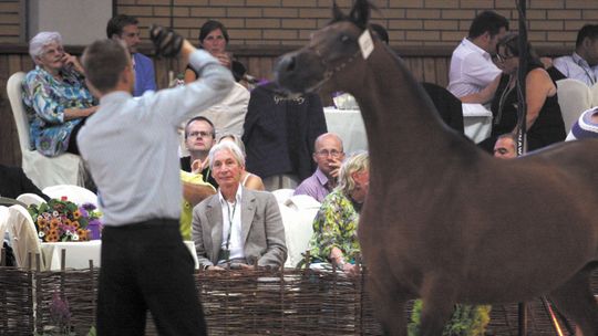 Trzy lata "dobrej zmiany" w stadninach. "Nie mam pojęcia co można zrobić, żeby sytuację naprawić"