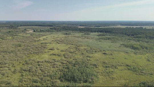Trzy nowe rezerwaty przyrody na Lubelszczyźnie