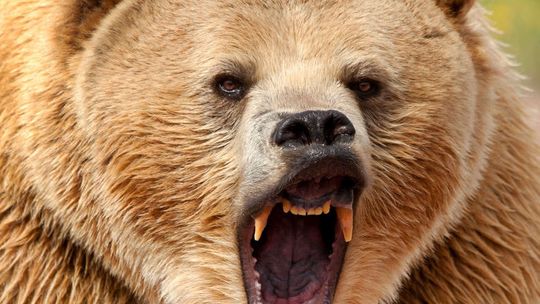 Trzydnik Duży. Apelują o odpowiednie oznakowanie posesji