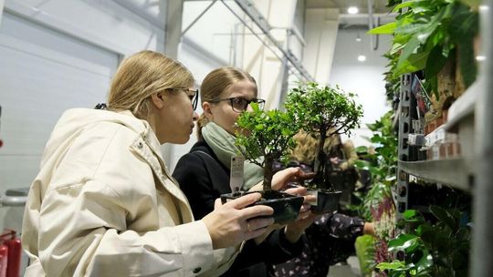 Tu monstera, tam doniczka, a jeszcze nawóz się znajdzie - Festiwal Roślin zawitał do Lublina