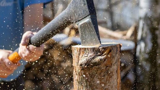 Turniej drwali na leśnej polanie