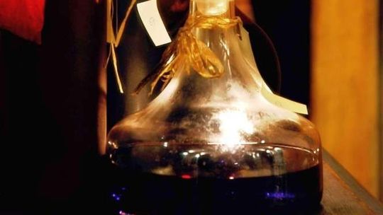 Turniej Nalewek Rodzinnych w Wąwolnicy