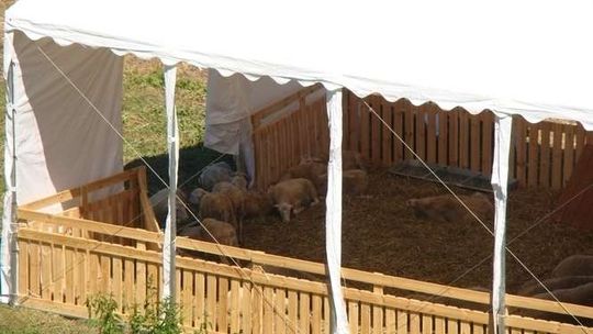 Turystyczne inwestycje w Gródku: Owce, ścieżka i pawilony