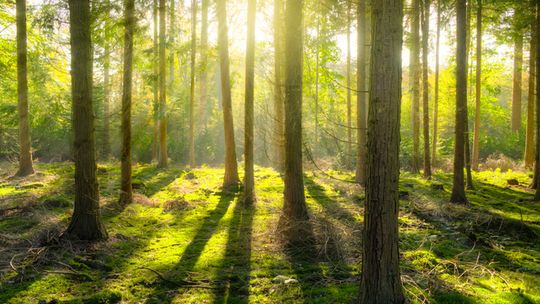 Turystyczne Lubelskie. Plebiscyt na najlepszy produkt turystyczny 