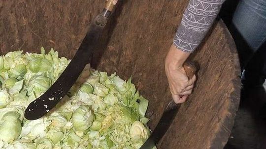 Turystyka kulinarna w woj. lubelskim? Chcą współpracować z restauracjami i hotelami