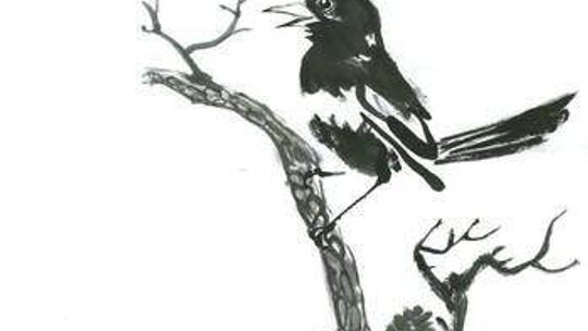 Tusz niezwykły. Wystawa Michała Makary w klubie Miniatura