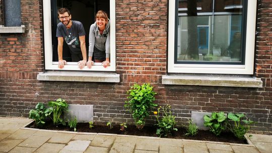 Tutaj mieszkańcy zakładają ogrody na chodnikach. A urzędnicy ich do tego zachęcają