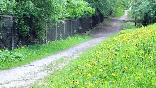 Tutaj śmiecą na potęgę i melanżują