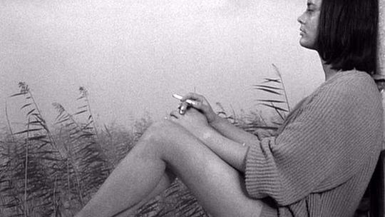 Tydzień z Kinem Perła (10-14 sierpnia)