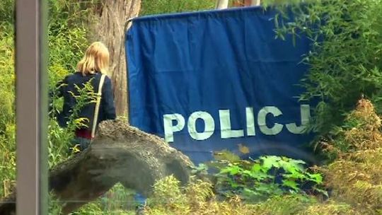 Tygrys zabił pracownika ZOO we Wrocławiu (wideo)