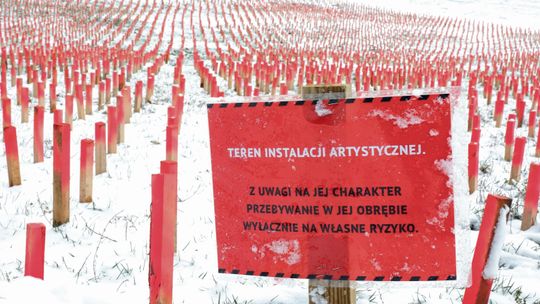 Tysiące palików w wąwozie między LSM i Czubami. Nie wszystkim mieszkańcom się podobają [zdjęcia]