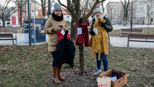 Ubrały drzewa. Żeby pomóc potrzebującym