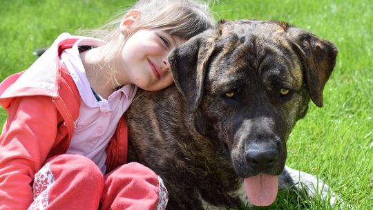 Uczniowie z woj. lubelskiego pomagają zwierzętom i nie zgadzają się na wycinkę drzew