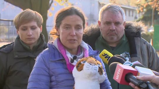 "Udało nam się uratować dziewięć istnień". Jeden z tygrysów pozostaje w bardzo ciężkim stanie