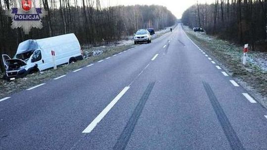 Uderzył samochodem w łosia. Zwierzę wpadło na szybę drugiego auta