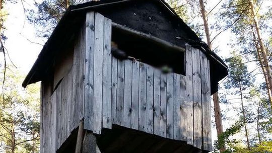 Ukradł ambonę myśliwską i pociął ją na kawałki