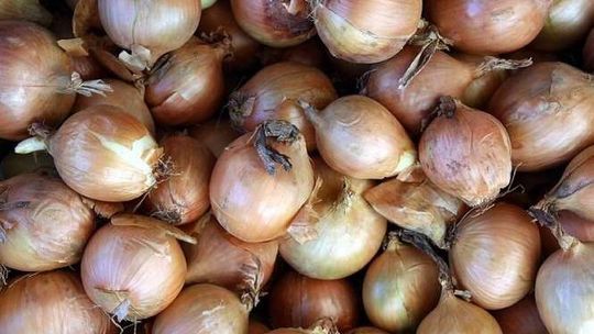 Ukradli 300 kg cebuli. Teraz będą płakać