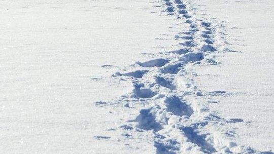 Ukradli złom, ale zostawili ślady na śniegu