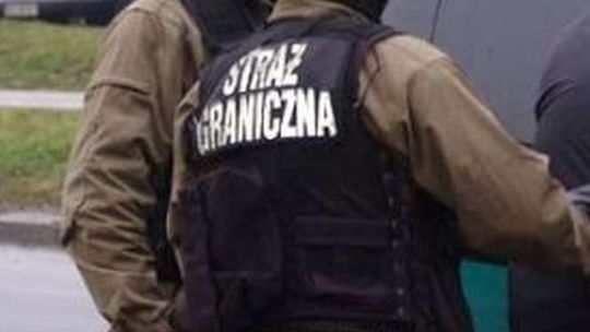 Ukrainka poszukiwana trzema listami gończymi wpadła na granicy