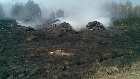 Ul. Księdza Brzóski: Pożar traw (zdjęcia)