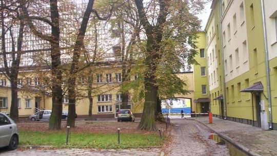 Ul. Łopacińskiego i ul. Weteranów: Wycinka będzie, ale nie wszystkich drzew