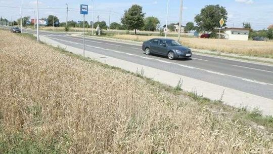 Ul. Mełgiewska: Wiaty zniknęły. Od roku czekają na nowe