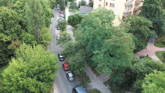Ul. Pana Tadeusza: Wycinka mniejsza niż planowano. Mieszkańcy obronili drzewa
