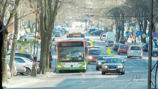 Ul. Zamojska ma wyładnieć. Będzie mniej miejsc parkingowych?