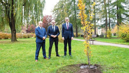 UMCS jednym z trzech Zielonych Uniwersytetów