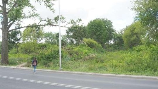 UMCS ma plan na kampus zachodni. Chce zbudować m.in. halę sportową