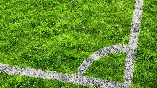 Unia posieje Wilkom trawę