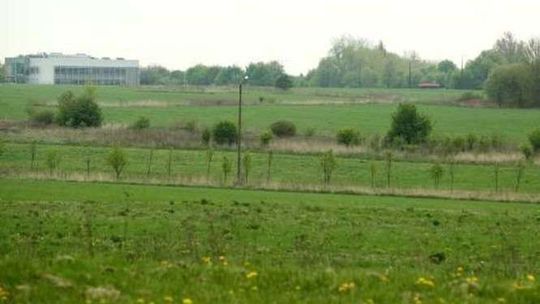 Uniwersytet Przyrodniczy czeka na miliony od koncernu Panattoni. Na co wyda te pieniądze?