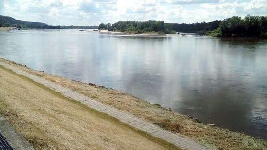 Upał nie odpuszcza, panuje susza, w lasach ekstremalne zagrożenie pożarowe