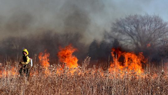 Upały zwiększają ryzyko pożarów. RCB wydało alert, zagrożona także część Lubelszczyzny