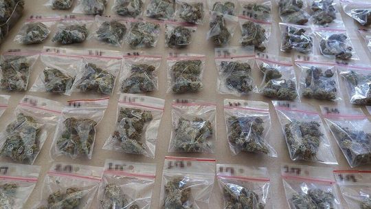 Uprawiał konopie, miał narkotyki i jeździł naćpany 