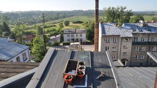 Uprawiał konopie na dachu bloku