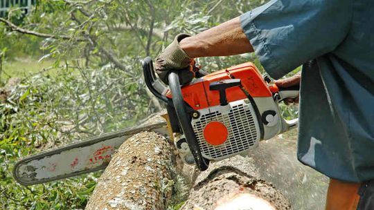 Urszulin: Na wycinkę trzeba poczekać