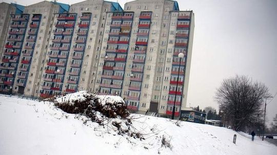 Urząd Miasta nielegalnie zezwolił na wycinkę drzew przy ul. Walecznych