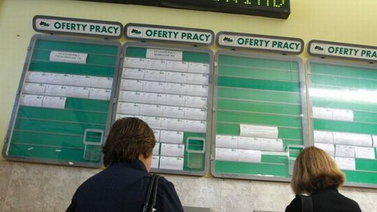 \"Urząd Pracy wprowadził w błąd wiele osób\"